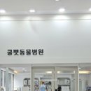 쿨펫동물병원(탄방점) 이미지