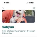 pet129다9885 | 해외여행 숙박비 아끼기TrustedHousesitters로 공짜 숙박하는 법 / 꿀팁 / 추천 앱