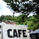 1253 | [솔직후기]가평 한옥카페 &#39;cafe1253&#39;(feat.애견동반,자라섬,분위기좋은)
