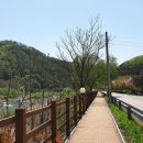황둔쌀찐빵 이미지