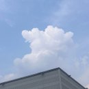 옛찬 이미지
