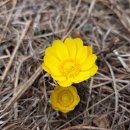 26.3.22(일) 칠곡 가산~삼칭이능선~~군위제2석굴암 이미지