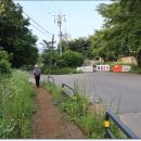 새솔학교 이미지