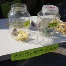 천사농원 이미지