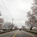 김절 충신각 | 갓 신내림 청주점집 금선당_병오년 첫 방생, 강원도 휴휴암