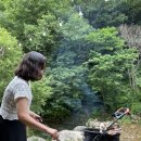 시냇가민박 | [가평애견동반] 가평 계곡식당 시냇가하얀집, 애견동반 셀프 바베큐장 솔직후기