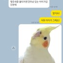 경운커뮤니케이션 | [공지] [햄스터 사후교감]포동🐹 애니멀커뮤니케이션 후기 2편-이야기