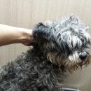 이성준동물병원 이미지