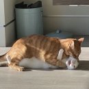 아임 파인 이미지