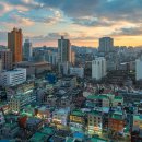 분당고등학교 이미지