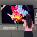 (주)LG전자서비스 | LG전자 베스트샵 해운대점 신제품 LG 올레드 evo 상담후기