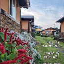 금앤옥통나무팬션 이미지