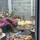 부용로 | 대전 대형카페 점섬면 두바이김밥 맛집 대흥동 애견동반 베이커리 카페 후기