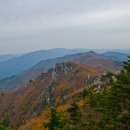 제571차(26년 11월 1일 (31일 토요일 23시 출발) 오대산 소금강 무박 산행 안내 이미지