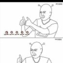 커피플라워 이미지