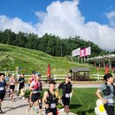 영스카이 이미지