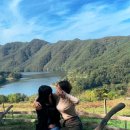 수민목장 이미지