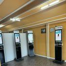 땡큐카 | W13. 제주 여름 웨딩스냅 땡큐렌터카 후기 (야놀자 제주패스 내돈내산)