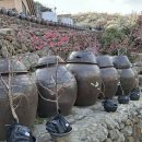 광양이야기 이미지