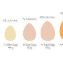 근자농장 이미지