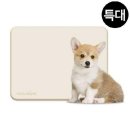 네이처펫 이미지