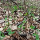 구실농장 이미지