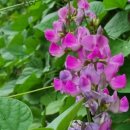 오정어울마당 이미지