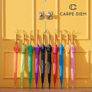 카르페디엠 이미지