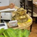 두꺼비한식뷔페 | 백석역 근처 숨은 한식 맛집 풍성한한식뷔페: 무한리필 가성비 방문 후기