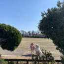 제주애견학교 이미지