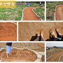 의료법인 사랑나무재단 이미지