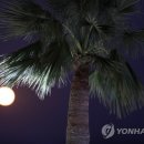 FULL MOON 이미지