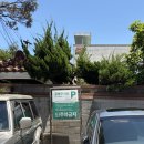 송이찻집 | 제주 말차라떼는 여기로, 블루리본 카페 무상찻집