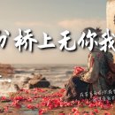 缘分桥上无你我-任夏 이미지