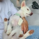 배양장 | 통영시 오션뷰 애견동반 카페 배양장 내돈내산 솔직한 방문 후기