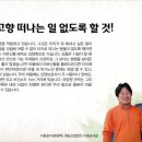 녹색농심인삼마을 이미지