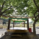 금다래캠핑장 이미지