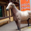 은고개로 이미지