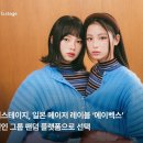 팬덤