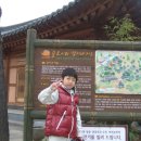 성희민박 이미지