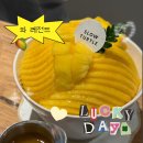 슬로우온 | 동성로 빙수 맛집 슬로우터틀 동성로점 생망고빙수 먹고 온 후기