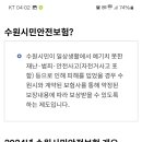 수원시민안전보험-제한사항 이미지