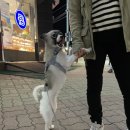 파리바게트신흥
