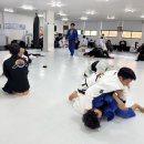 팀루츠 이미지