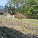 청정부동산중개인사무소 이미지