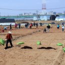 구민농장 이미지