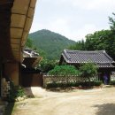 외암마을 이미지