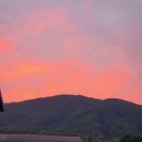 이현농장 이미지