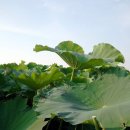 성내농장 이미지