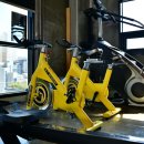 청춘헬스클럽 이미지